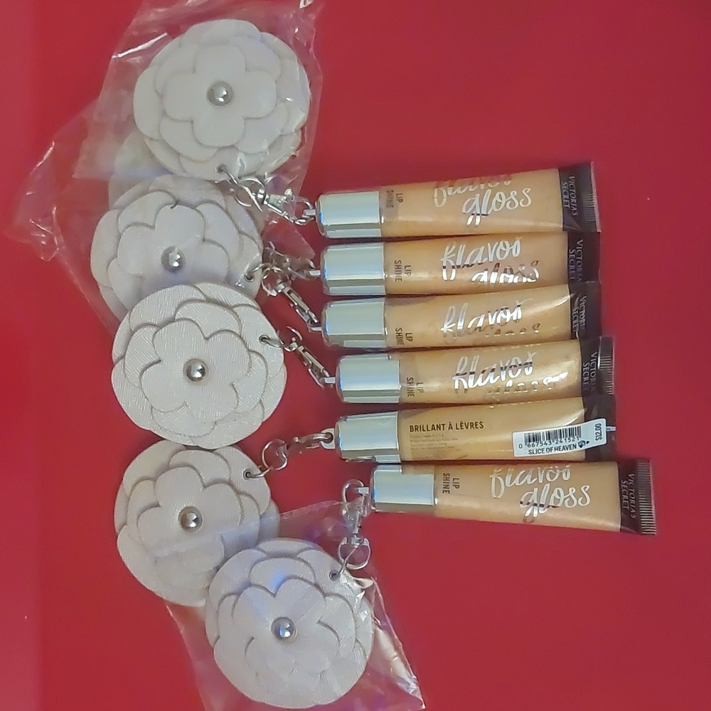 VS Lip Gloss